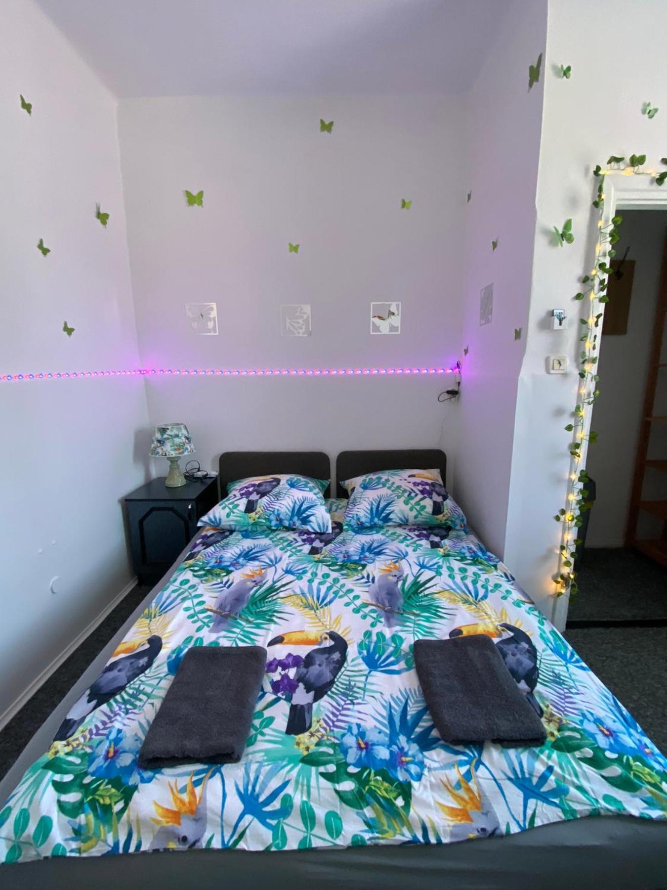 Jungle Apartment