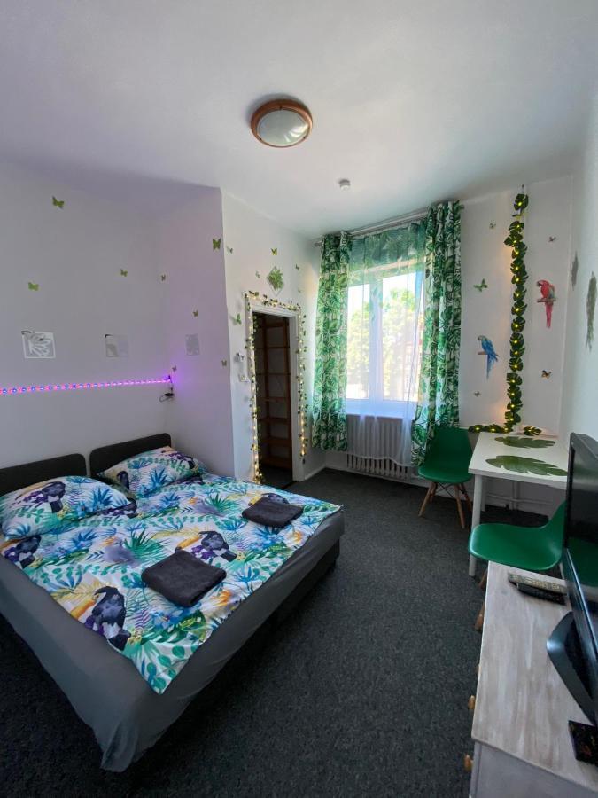 Apartament Jungle