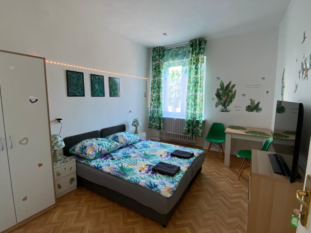 Jungle * Gdańsk