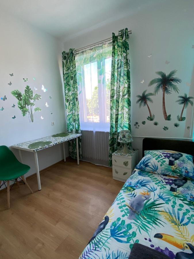 Apartamento Jungle *