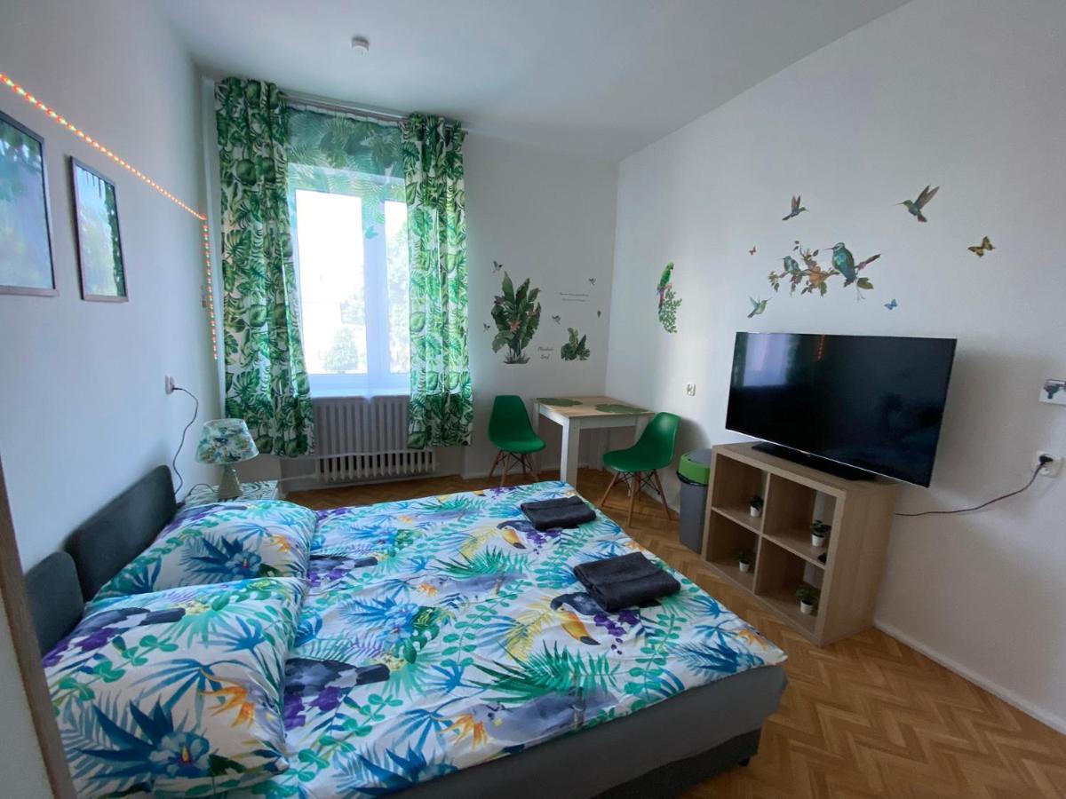 Jungle Apartamento *