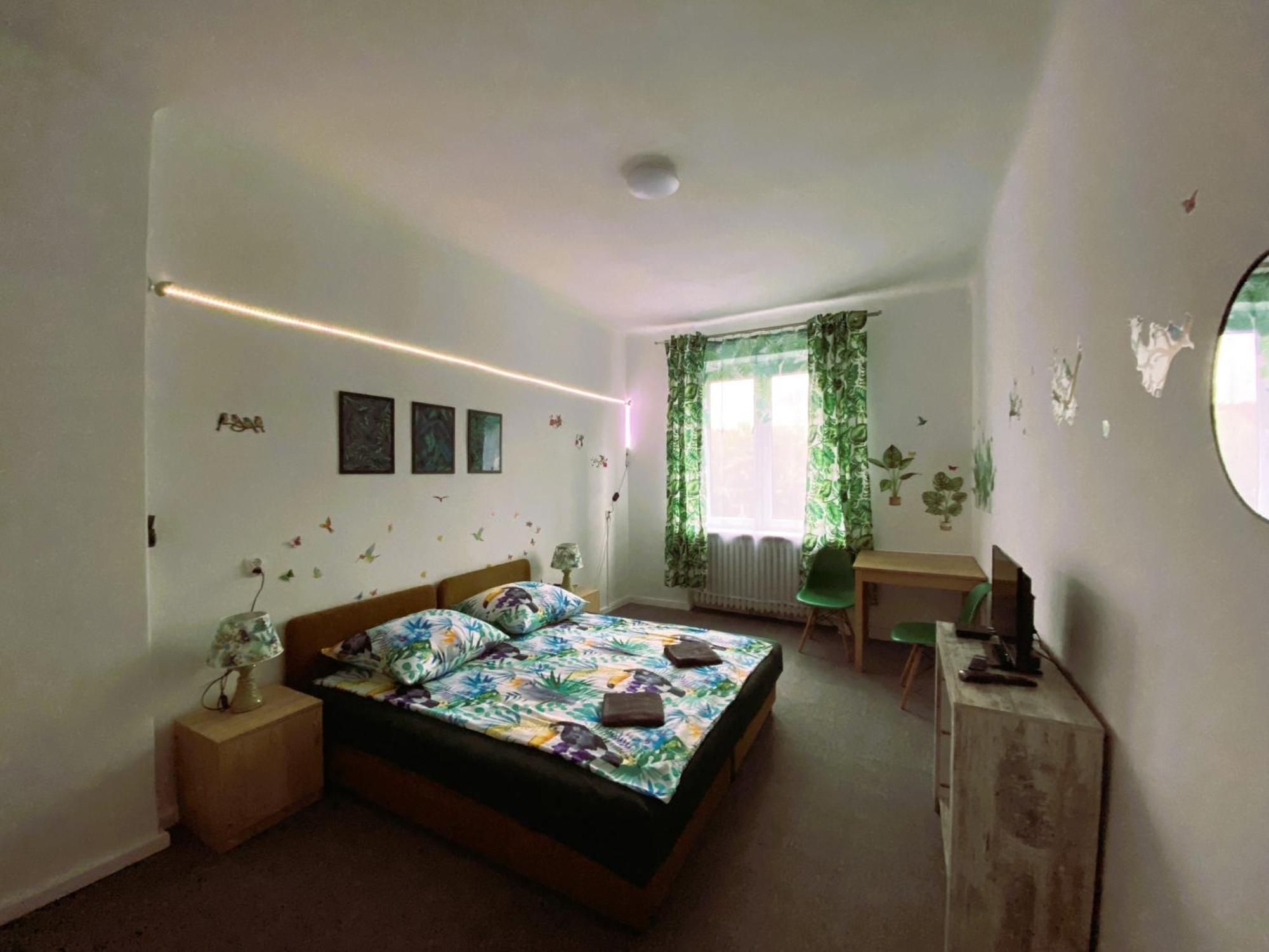 Apartamento Jungle *
