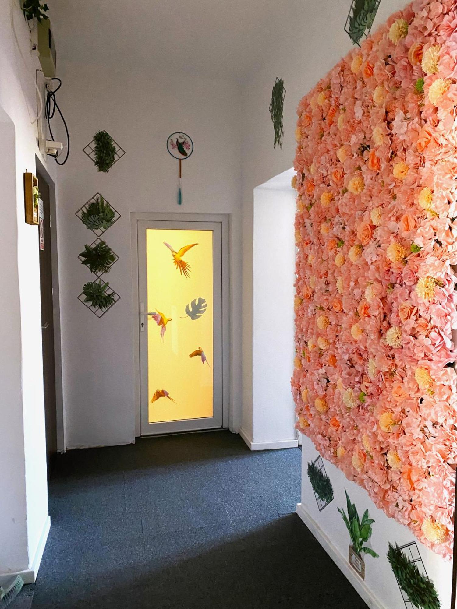 Apartamento Jungle *