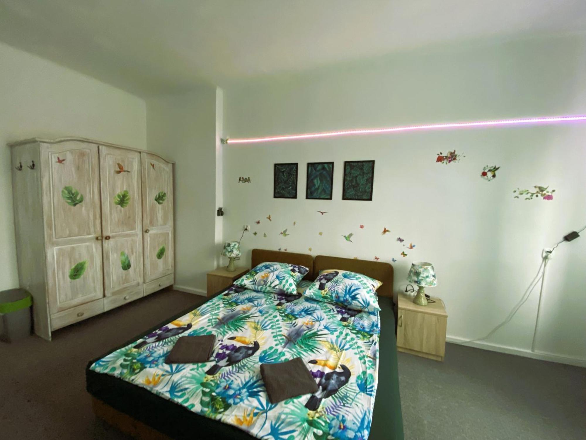 Jungle Apartamento *