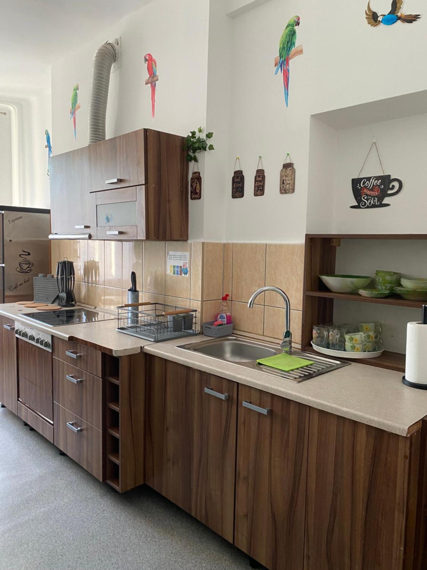 Apartamento Jungle