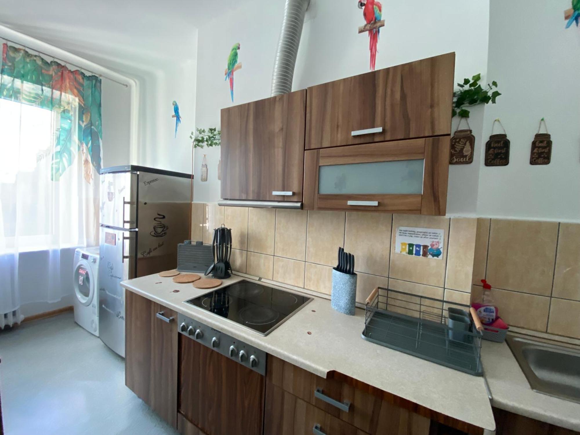 Apartamento Jungle *