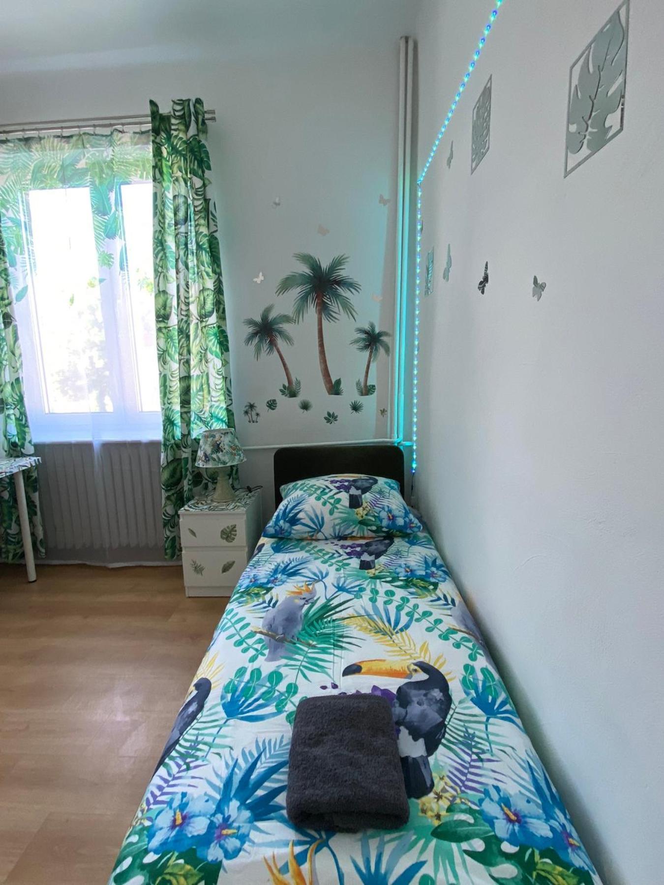 Jungle Apartamento