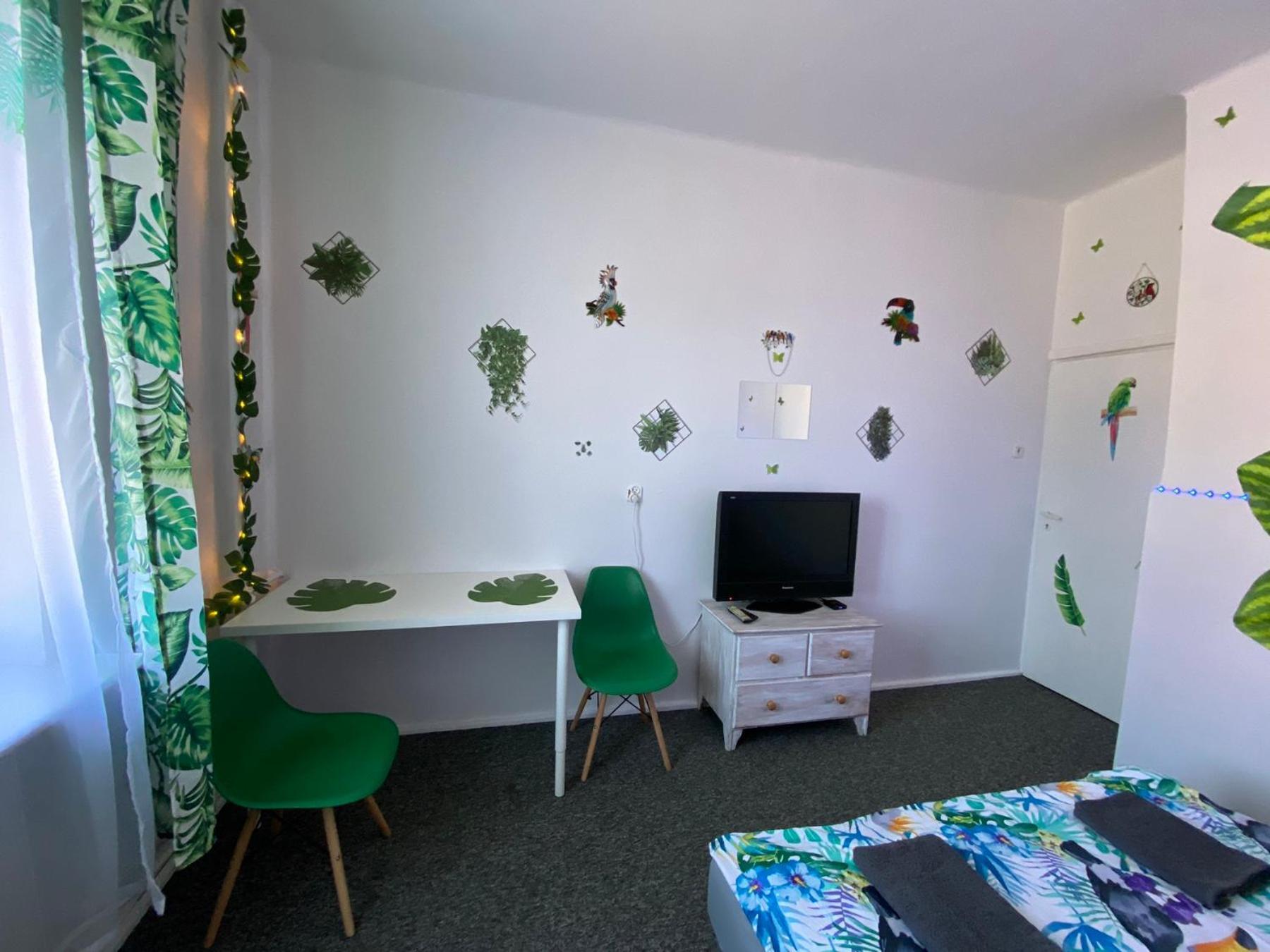 Apartamento Jungle *
